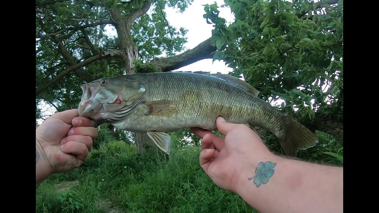Milwaukee River Bass Fishing YouTube
