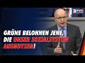 Grünen belohnen jene, die unser Sozialsystem ausnutzen! - Jörg Schneider - AfD-Fraktion im Bundestag