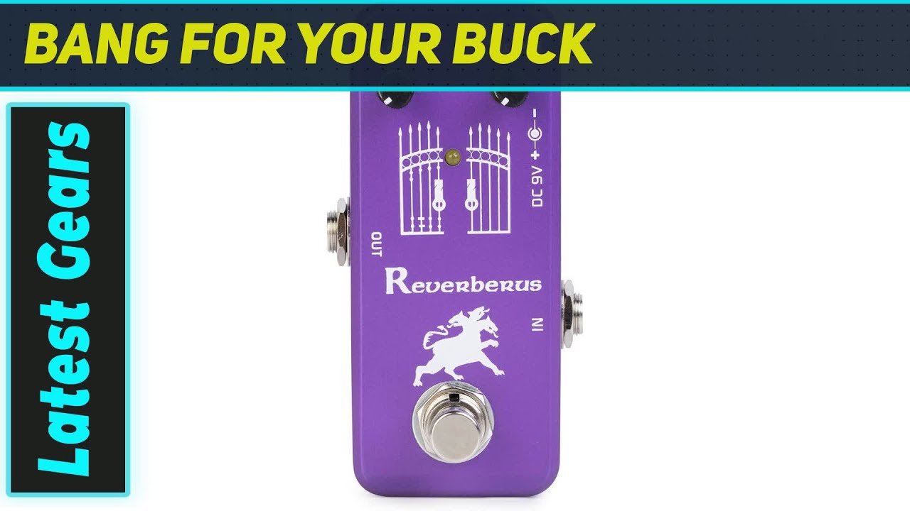 Movall MP-311 Reverberus: The Ultimate Mini Spring Reverb? - YouTube