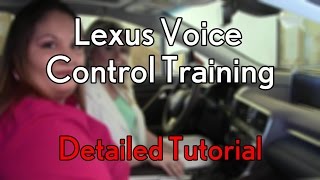 How to Train the Lexus Voice Recognition System in a 2016 Lexus RX 350