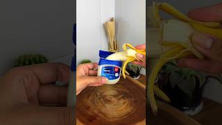 Apply Vaseline with banana and you will be surprised!