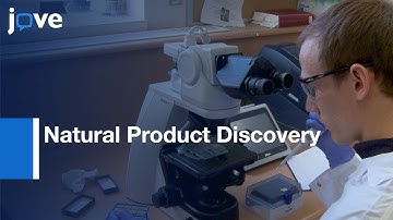 LC-MS/MS Diagnostic Fragmentation Filtering: Application-Microcystin Analysis l Protocol Preview