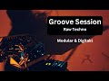 Groove sessionmodular madness meets digitakt  moe ferris