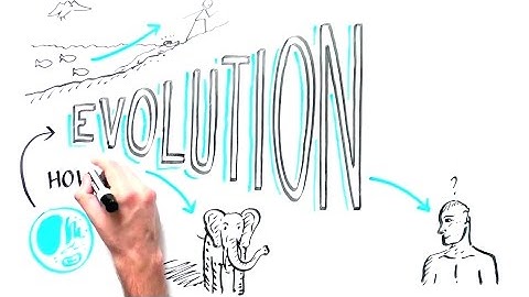 How We Evolved From Single Cell Organisms