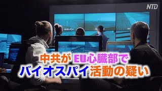 「中共がEUの心臓部でバイオスパイ活動の疑い」EUオブザーバー