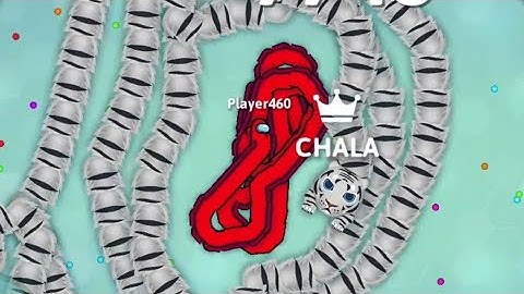 All Top 10 Giant Snake Trapped And Kill Snake.io Epic Snake.io Gameplay #snake #chala