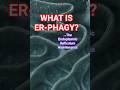 The ER-phagy Process: How Cells Recycle Themselves 🧬 #Biology #Science
