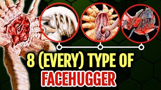 8 (Every) Type Of Facehuggers In The Xenomorph/Alien Franchise - Explored In Detail
