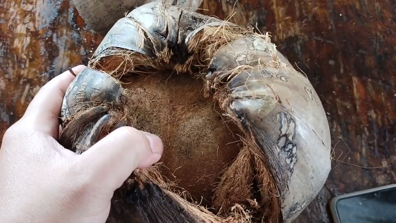 April15 blessedGood Friday pampaswerte libon at isangmataisangbibig #https://shp.ee/nkursbt #lazada