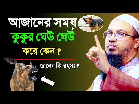 ভিডিও: কুকুর সবসময় ঘেউ ঘেউ করে কেন?