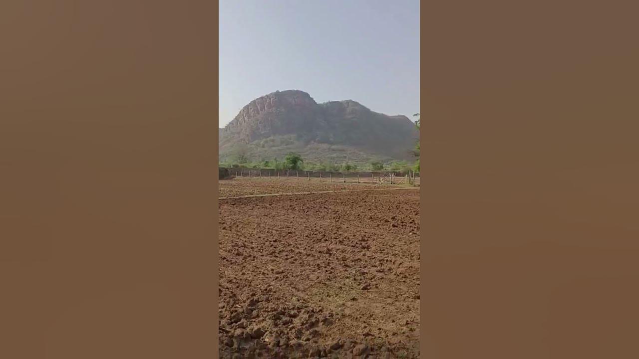 2-bigha-agriculture-farm-land-for-sale-in-ranthmbore-national-park
