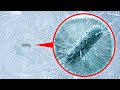Científicos acaban de encontrar algo vivo a 2 millas debajo del hielo antártico