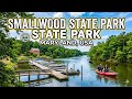 Smallwood State Park, Maryland, USA