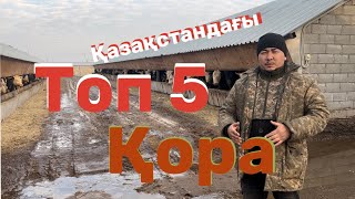 Қазақстандағы Ең үлкен ТОП 5 тегі шаруаға рулон Тұрайытын дробилка орнаттық