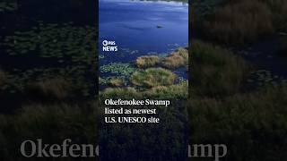 WATCH: Okefenokee Swamp listed as newest U.S. UNESCO site