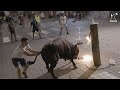 Documentamos el terror del animal en un festejo de toros embolados en museros valencia