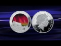 New Zealand Holographic Silver Coin for Southern Lights/Aurora Australis