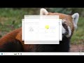 SISTEMA DE BILLAR | SOFTWARE PARA BILLAR |  ACTUALIZADO A LA VERSIÓN 12 VER DESCRIPCIÓN DEL VIDEO