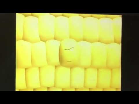 【CM】はごろもフーズ　シャッキと!コーン【1998年】【平成10年】