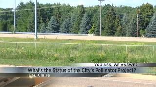 You Ask, We Answer: What's the status of the City of Eau Claire's pollinator project?