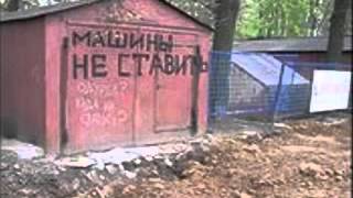 401 видео приколы животные онлайн бесплатно 401 видео приколы животные онлайн бесплатно