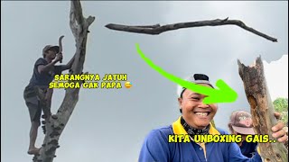 Nekat panjat pohon mati, padahal batangnya kecil rapuh, alhamdulillah selamat 😅