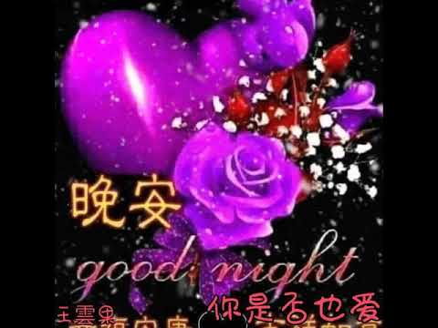 晚上好 Youtube 晚上好 Youtube