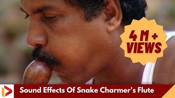 Sound Effects Of Snake Charmer