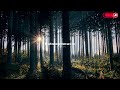 Playlist 카페에서 나오는 레트로 재즈 🎷 | 분위기 좋은 올드 재즈 플레이리스트