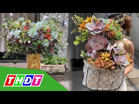 Video Biến sen đá thành bó hoa khủng, giá vài triệu đồng/bó... - youtube