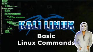 Kali Linux Basic Commands For All Beginner's | #kalilinux #hacking @TechnicalVPN