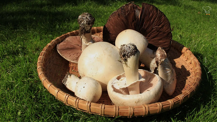 Le migliori ricette autunnali: 10 piatti per vivere al meglio la stagione