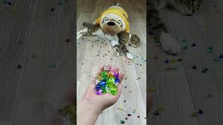 Barsik Cat ❤ Reverse Video ASMR Marbles Beads 🍄