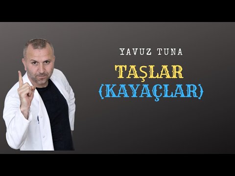 TAŞLAR  VE KAYAÇLAR #tytcoğrafya #aytcoğrafya #coğrafya