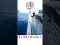 根掛かりを全力で楽しむ釣り人達