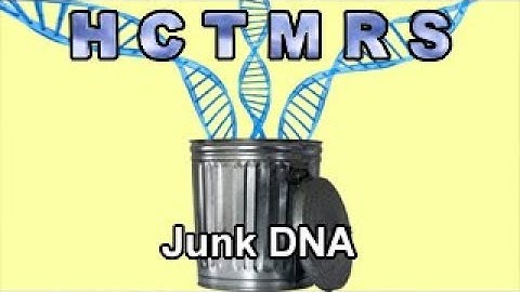 How Creationism Taught Me Real Science 82 Junk DNA