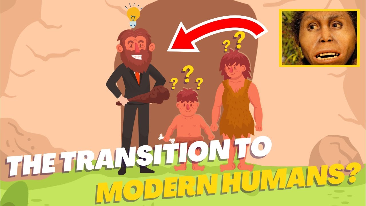 How We DRASTICALLY Transitioned To Modern Humans The Modern Human brain-size-comparison-neanderthals-had-bigger-brains-than-modern