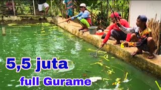 Download Lagu ED44NN ❗ GURAME NYA BABON BABON ❗MANTAP MP3