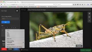 Adding Images & Tags to ThingLink
