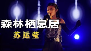 森林栖息居 苏运莹-完整原唱版『动态歌词 』| Tiktok China Music | Douyin Music |