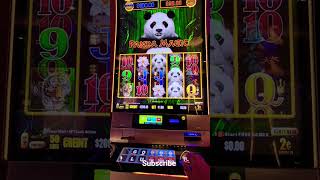 Panda bonus #slot #bonus