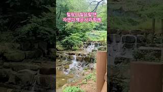 힐링이 필요할 땐 근처 계곡 자연과 백운사와 함께 #백운사#부산모라동계곡#부산모라동백운사#산책운동#백양푸른숲아파트 #일상