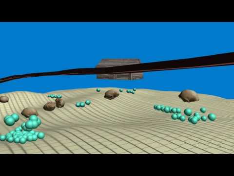Ngandong 1930's vs. 2008 fossil record