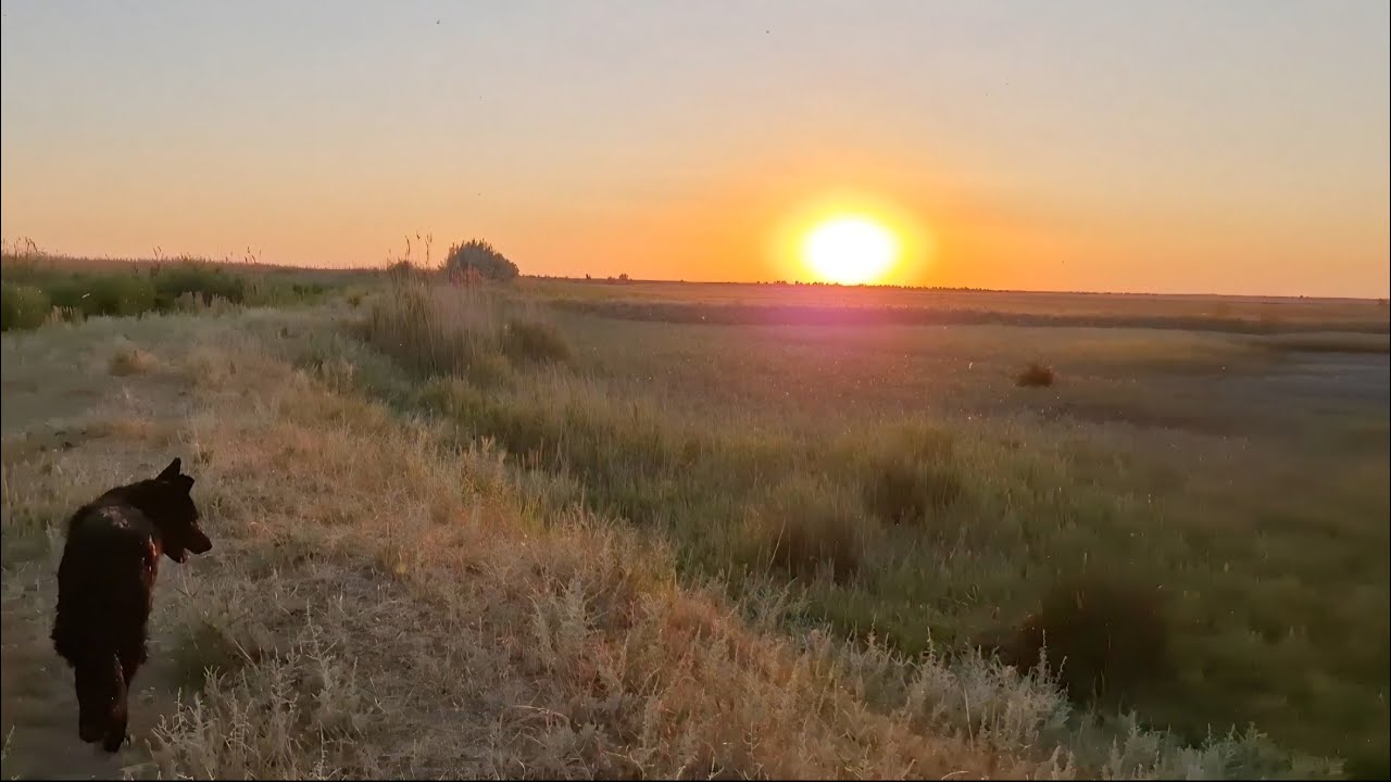 ЗРЯ НАРУГАЛА! МНЕ СТЫДНО... ГДЕ САМЫЕ КРАСИВЫЕ ЗАКАТЫ?