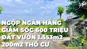 Ngộp Ngân Hàng Giảm 600 Triệu Cần Bán Gấp Đất Vườn ,Có Thổ Cư Ở BR-VT Để Khỏi Nợ Xấu