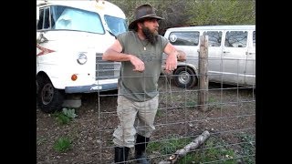 Homestead Chores Getting The Garden Area Ready