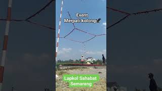 Event Merpati kolong🦅#pigeon #merpatikolong #reels