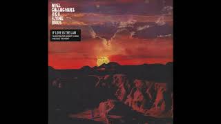 Noel Gallagher s High Flying Birds If Love Is The Law Official Instrumental YouTube