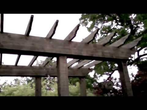 Christian Painters Treat & Stain Pergola with Sher...