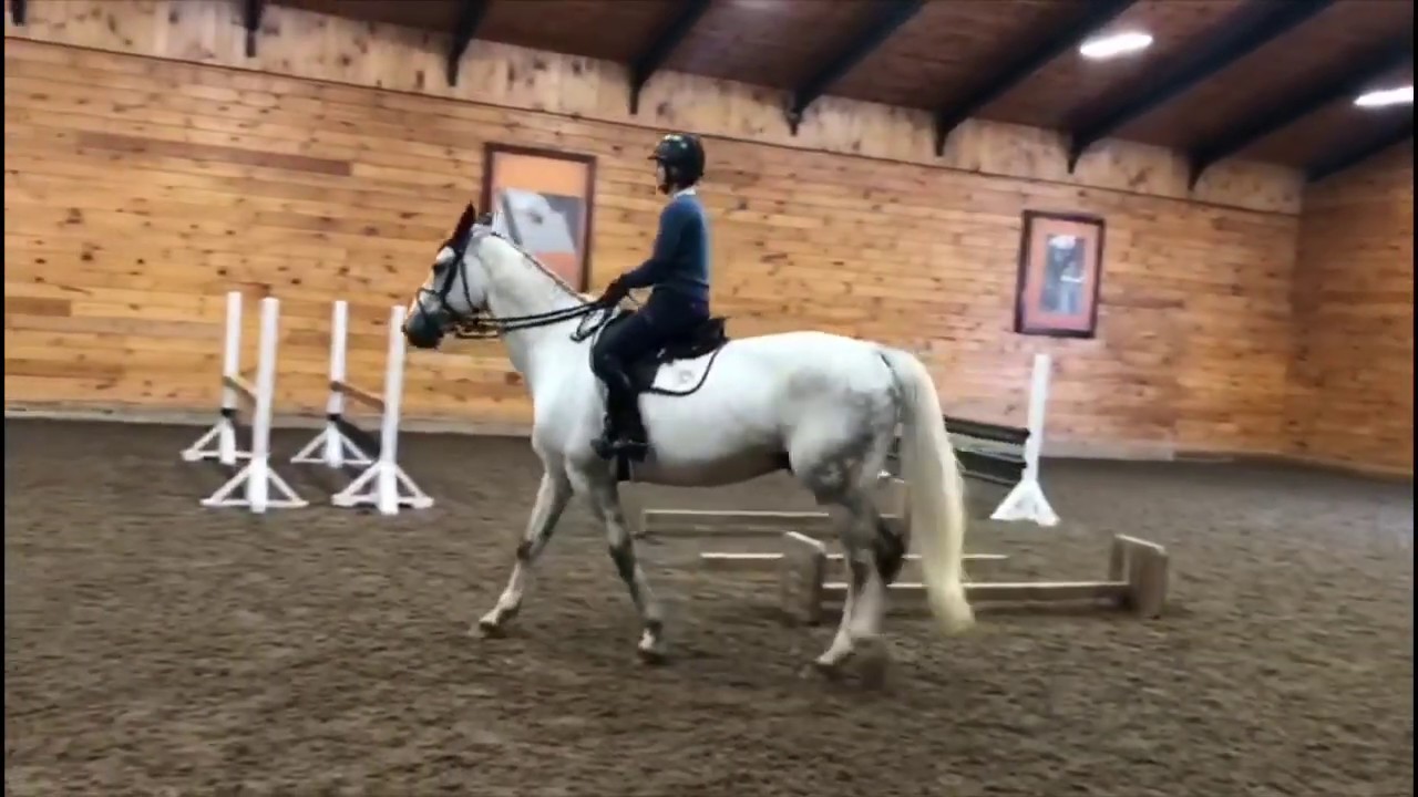 The Madden Method - Gymnastics at Home